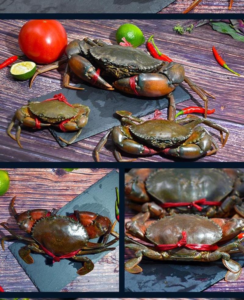 【产地直销】30g至2两缅甸青蟹肉蟹