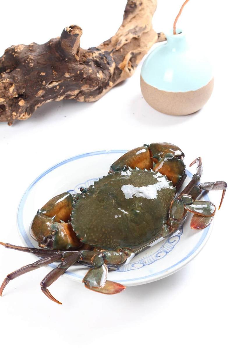 【产地直销】30g至2两缅甸青蟹肉蟹