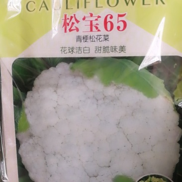 松宝65青梗松花菜，花球洁白甜脆味美早中熟定植后65天收