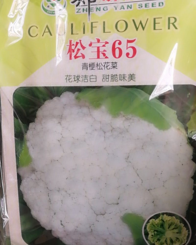 松宝65青梗松花菜，花球洁白甜脆味美早中熟定植后65天收