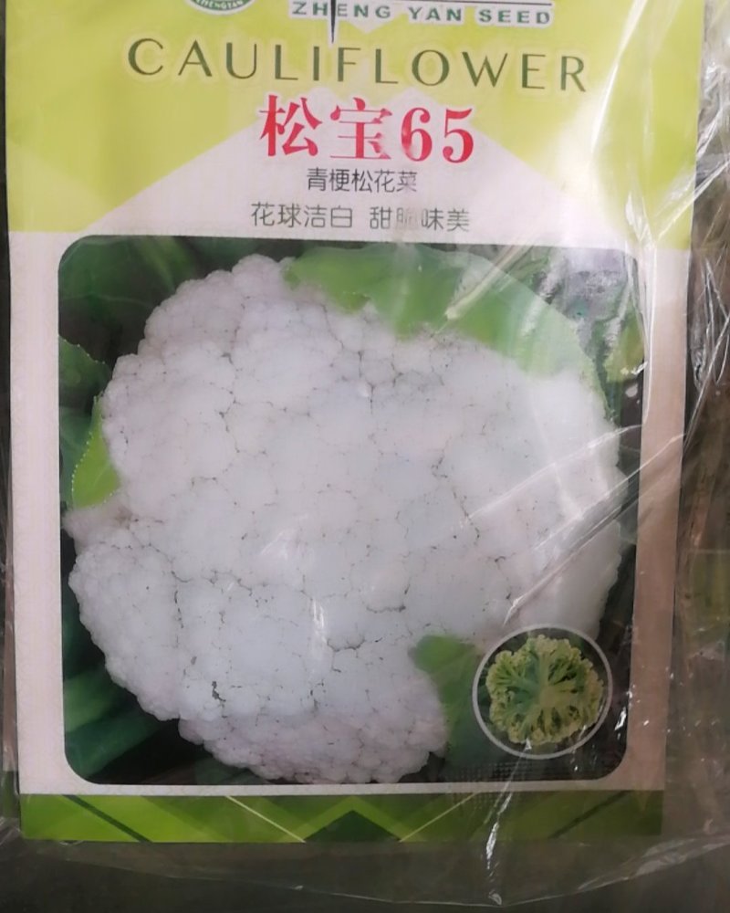 松宝65青梗松花菜，花球洁白甜脆味美早中熟定植后65天收