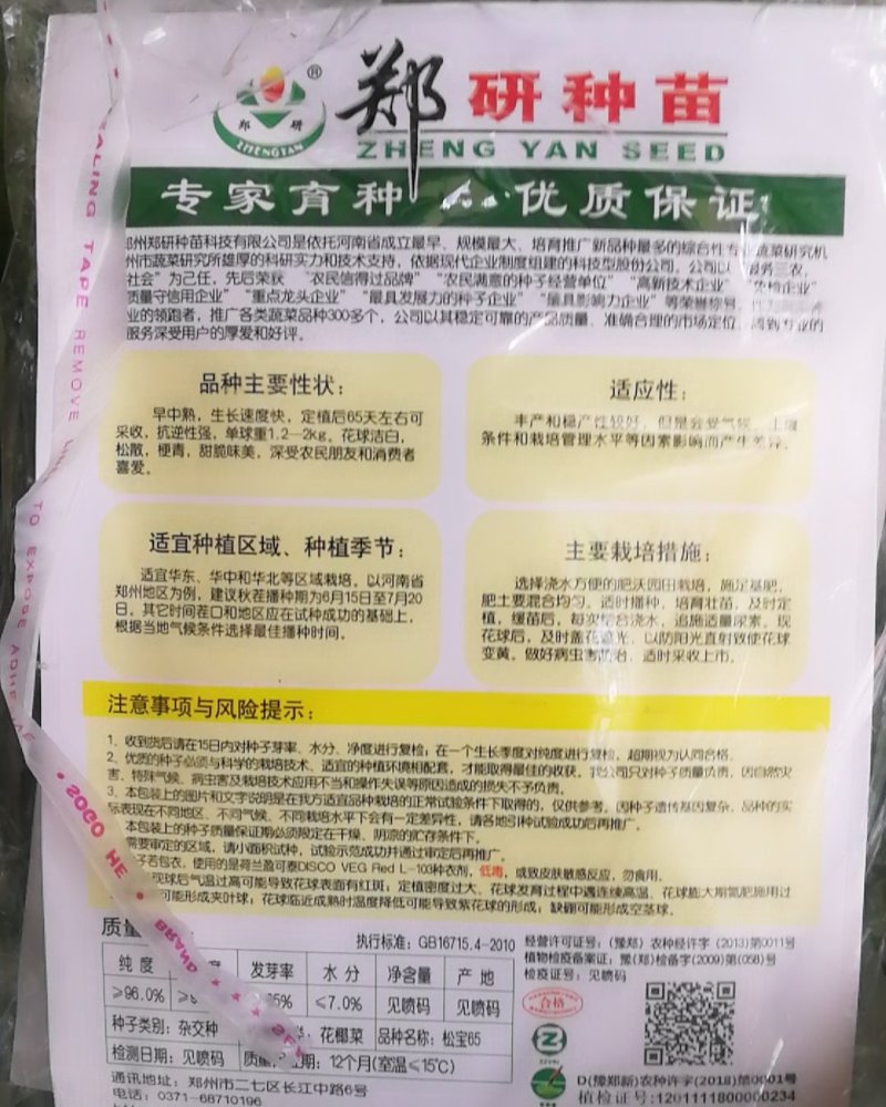 松宝65青梗松花菜，花球洁白甜脆味美早中熟定植后65天收