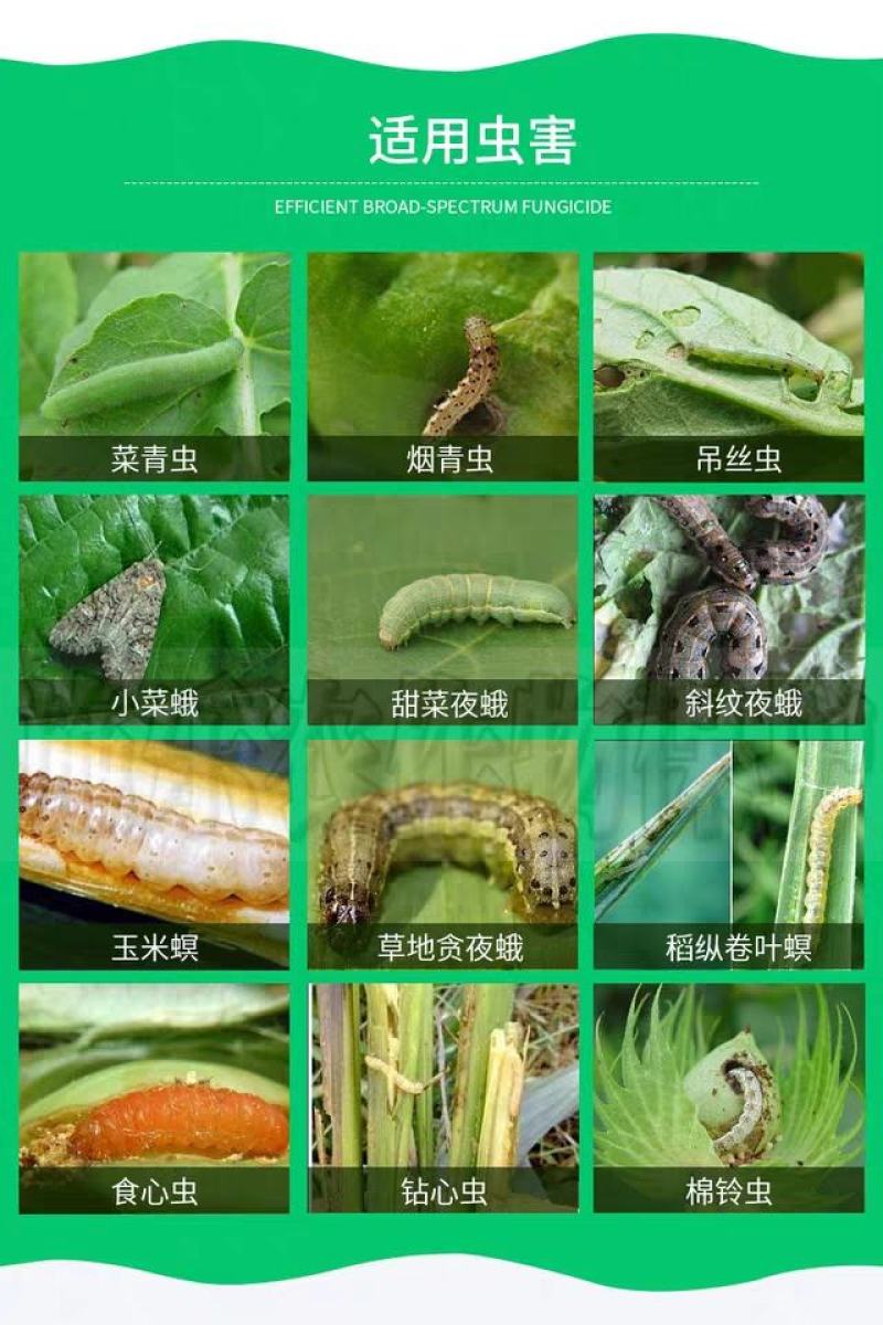 圣丰吉能克甲维.虫螨腈钻心虫甜菜夜蛾稻纵卷叶螟杀虫剂