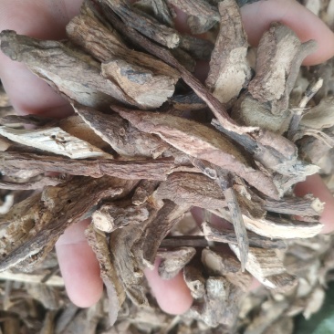 古羊藤～1公斤起售～质量好价格便宜欢迎咨询采购