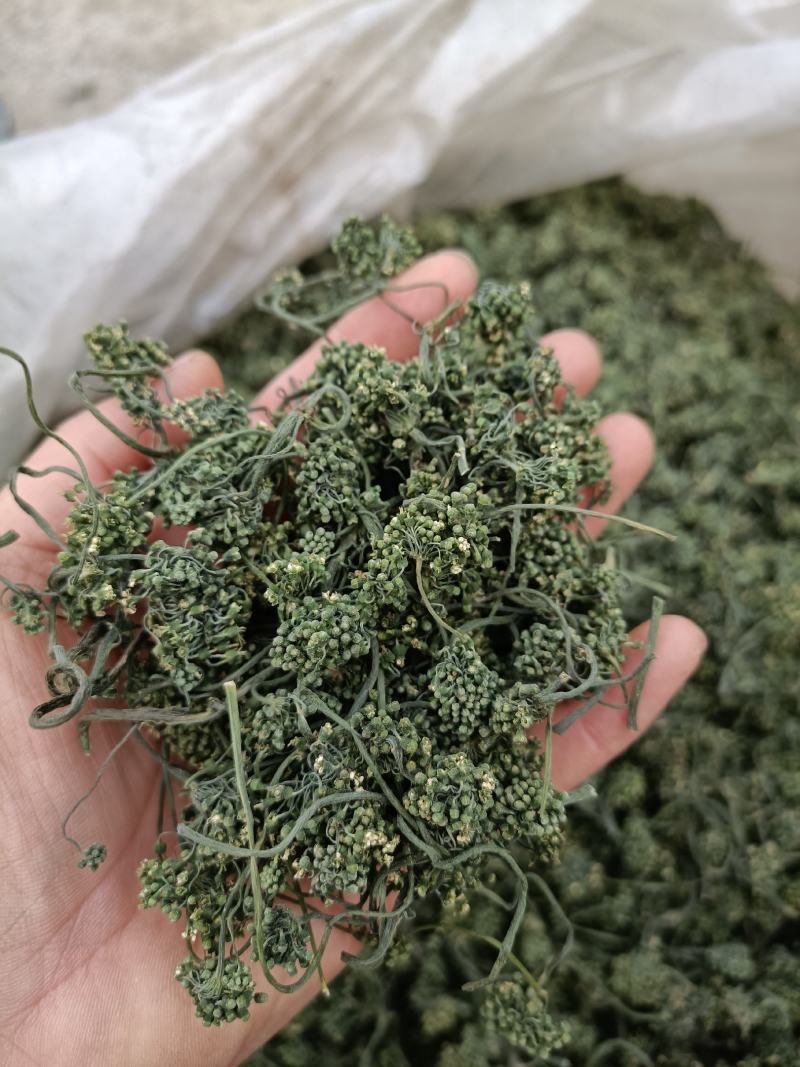 长白山六年人参花西洋参花新鲜采摘自然晾晒产地包邮