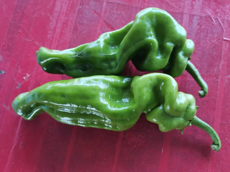精品辣椒，品种齐全，忘前来收购