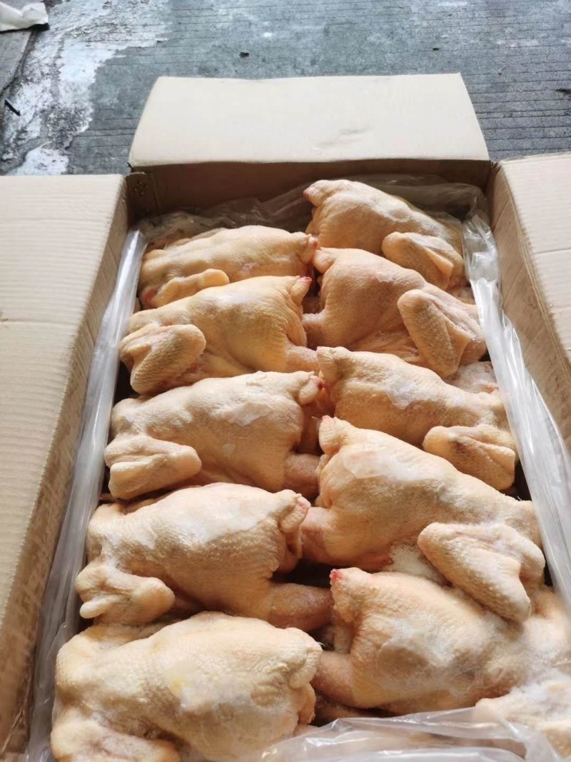 三黄鸡，92一件，抛货价格，货不多厂家直接发货