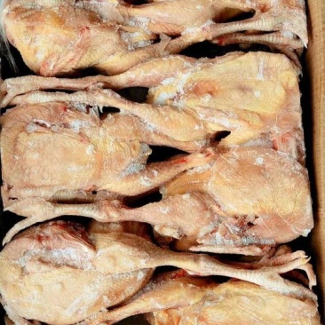 三黄鸡，92一件，抛货价格，货不多厂家直接发货