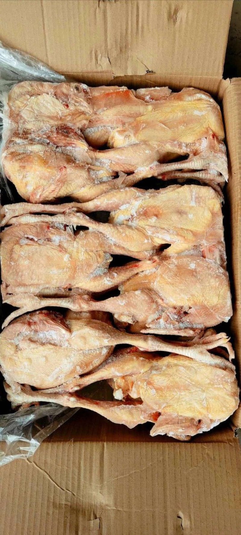 三黄鸡，92一件，抛货价格，货不多厂家直接发货
