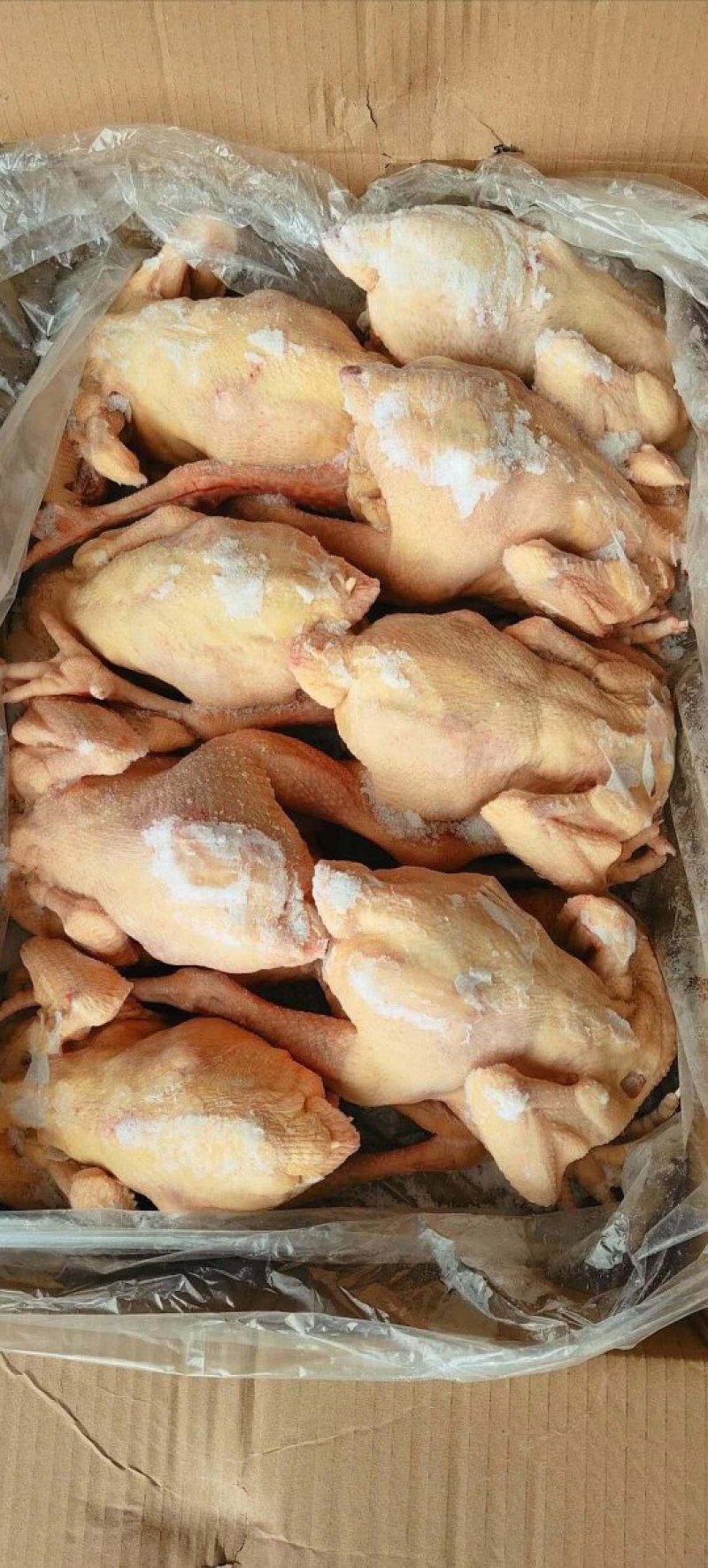 三黄鸡，92一件，抛货价格，货不多厂家直接发货