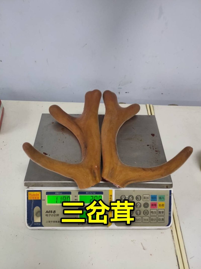 《明轩鹿业》2020年新货头茬鲜鹿茸整支切片