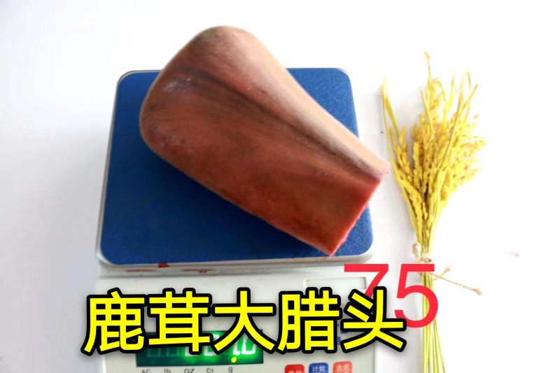 《明轩鹿业》2020年新货头茬鲜鹿茸整支切片