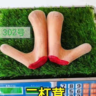 《明轩鹿业》2020年新货头茬鲜鹿茸整支切片
