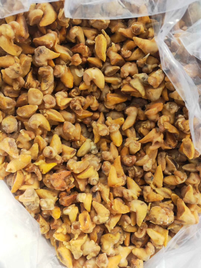 黄金鲍螺肉蜗牛肉蜗牛肉质量保障量大从优诚信经营等您来电