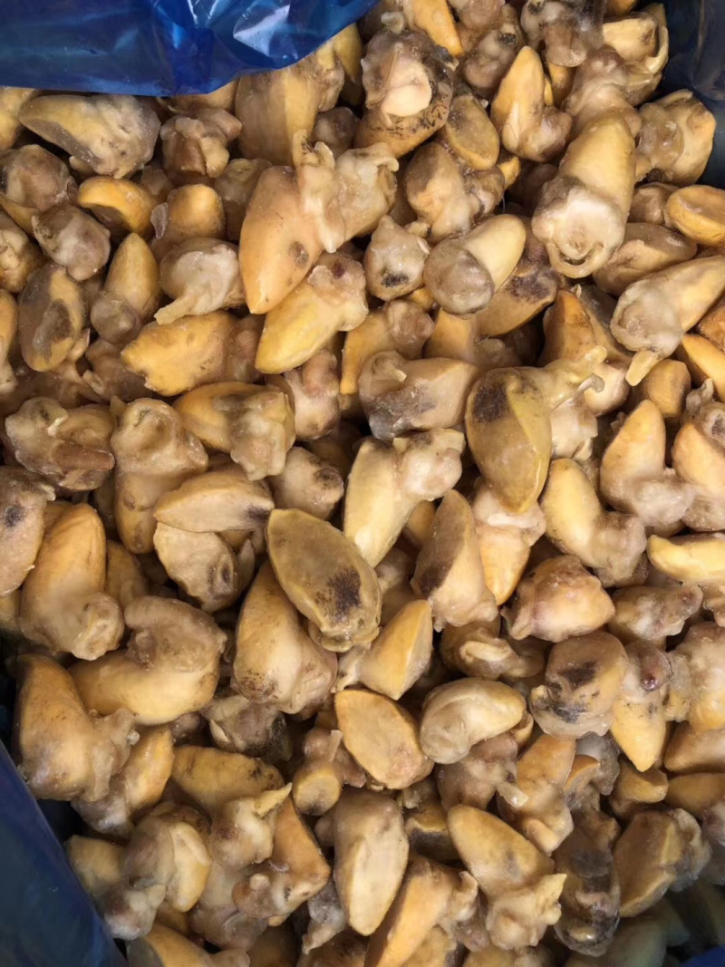 黄金鲍螺肉蜗牛肉蜗牛肉质量保障量大从优诚信经营等您来电
