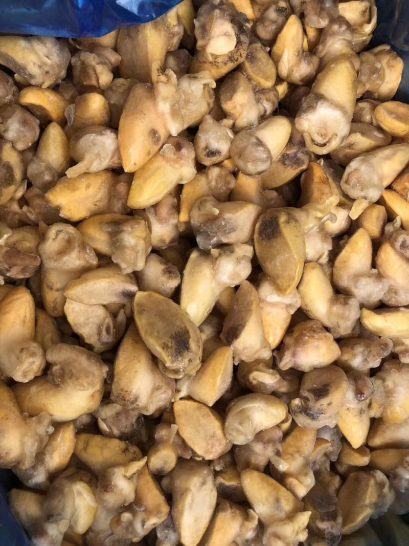 黄金鲍螺肉蜗牛肉蜗牛肉质量保障量大从优诚信经营等您来电