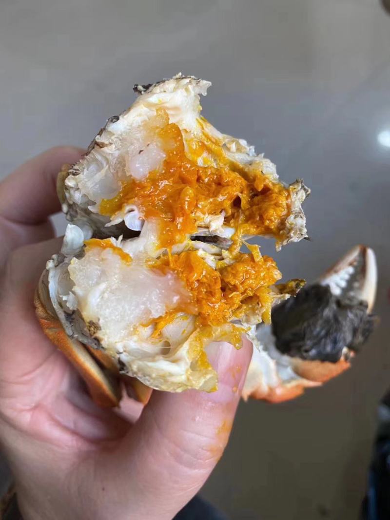 盘锦河蟹，老头蟹，各种规格货源充足直供平台，自助餐，