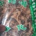 手掌参佛手参佛手参无硫各种中药材抓药方