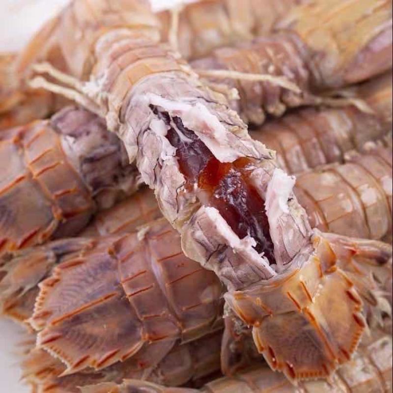 全母带仔带黄带膏新鲜海捕熟冻皮皮虾全母皮皮虾