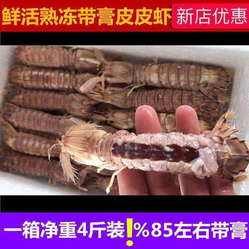 全母带仔带黄带膏新鲜海捕熟冻皮皮虾全母皮皮虾