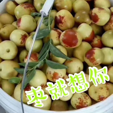 冬枣（天下**鲜果）