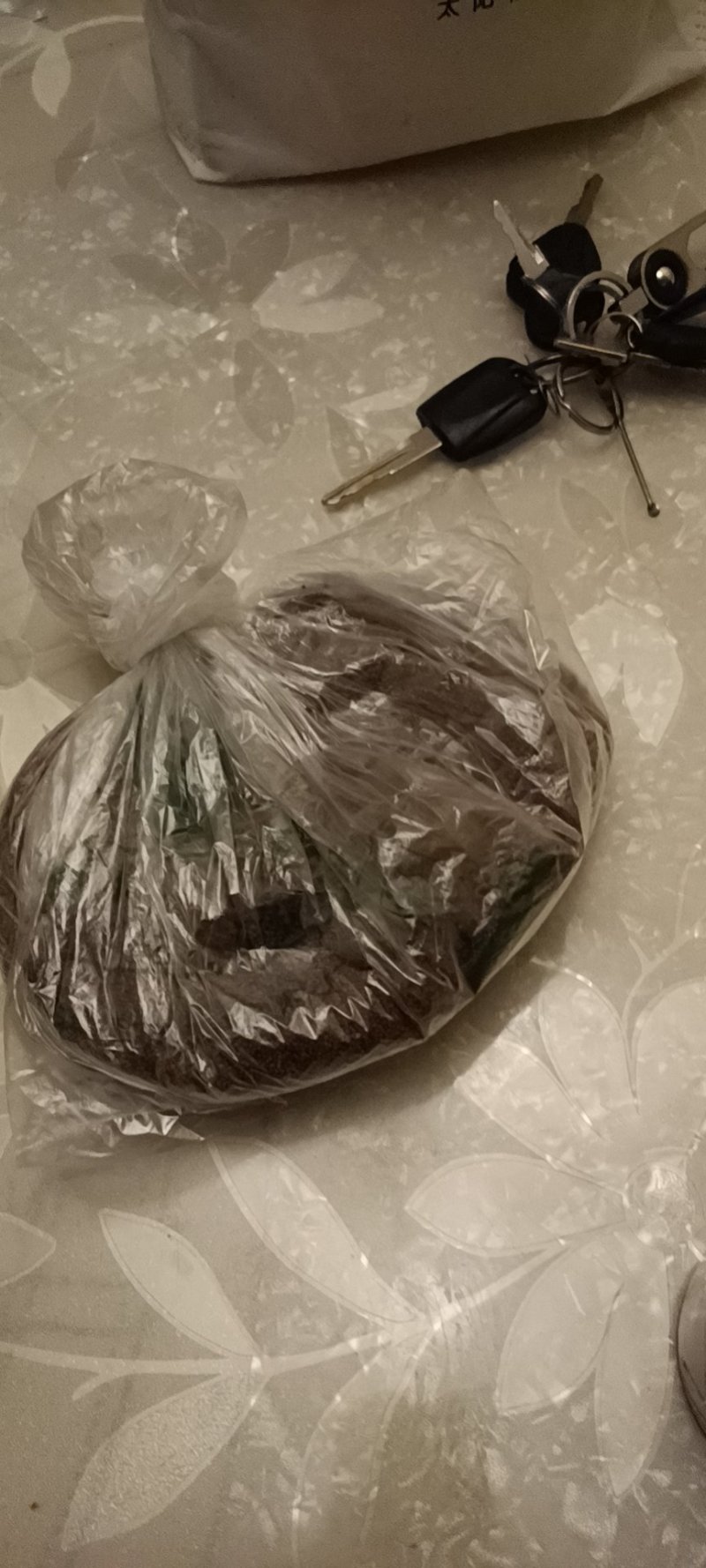 儿菜，开始卖种子了，8月中旬下种了
