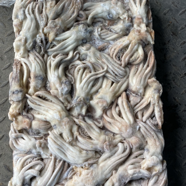 朝鲜鱿鱼原料头50-60克北朝真鱿全规格朝鲜基地直接出货