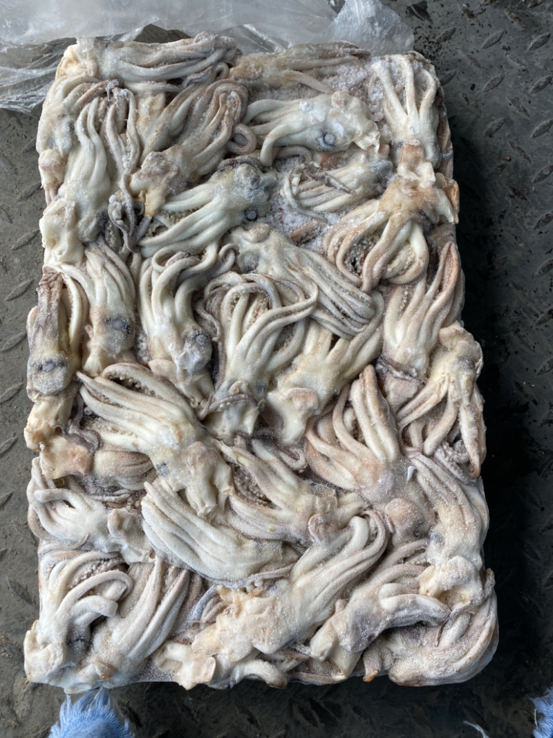 朝鲜鱿鱼原料头50-60克北朝真鱿全规格朝鲜基地直接出货