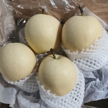 高次皇冠梨，便宜皇冠梨，早期货、果面干净