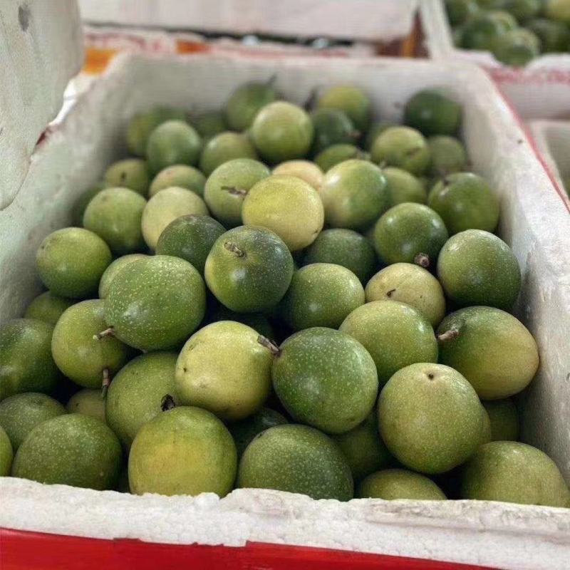 百香果大量上市，需要收果的联系我