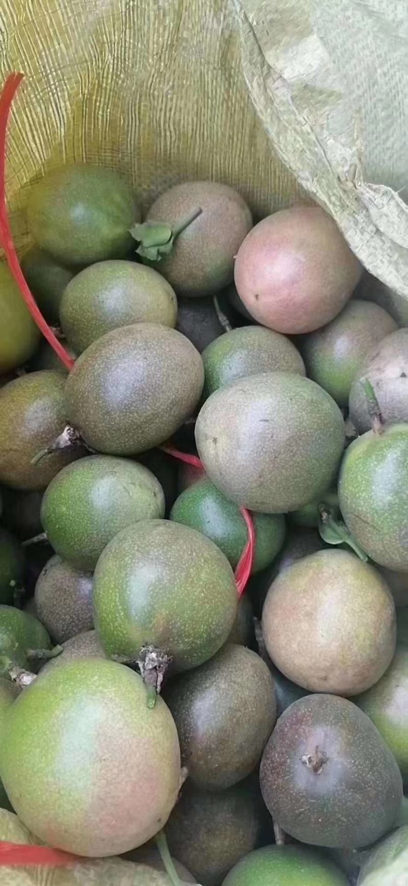 百香果大量上市，需要收果的联系我