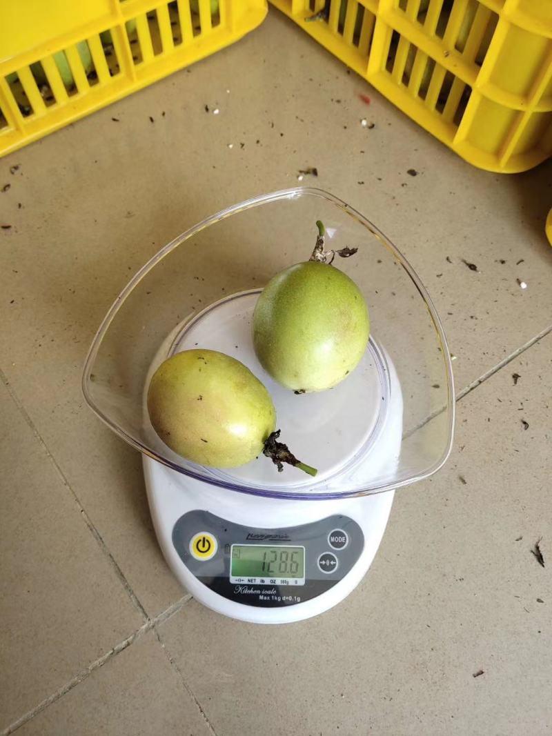 百香果大量上市，需要收果的联系我