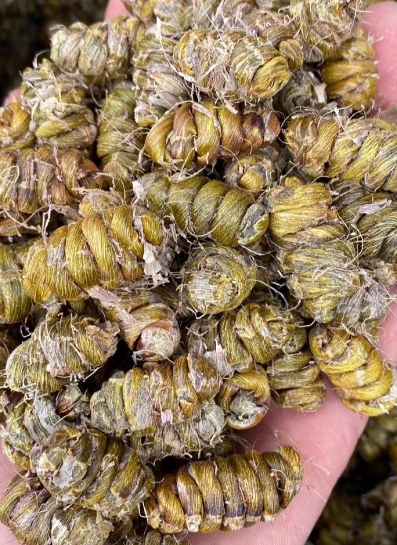 铁皮石斛枫斗铁皮石斛特级一级二级货产地直发