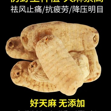 天麻野生500g干货陕西商洛新鲜特级正品中药材贵