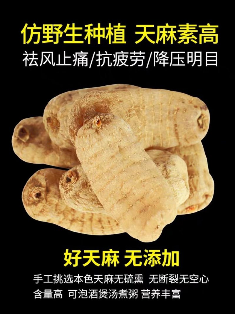 天麻野生500g干货陕西商洛新鲜特级正品中药材贵