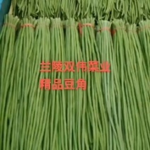 【优质】山东豇豆精品豆角质量不要问了，杠杠滴