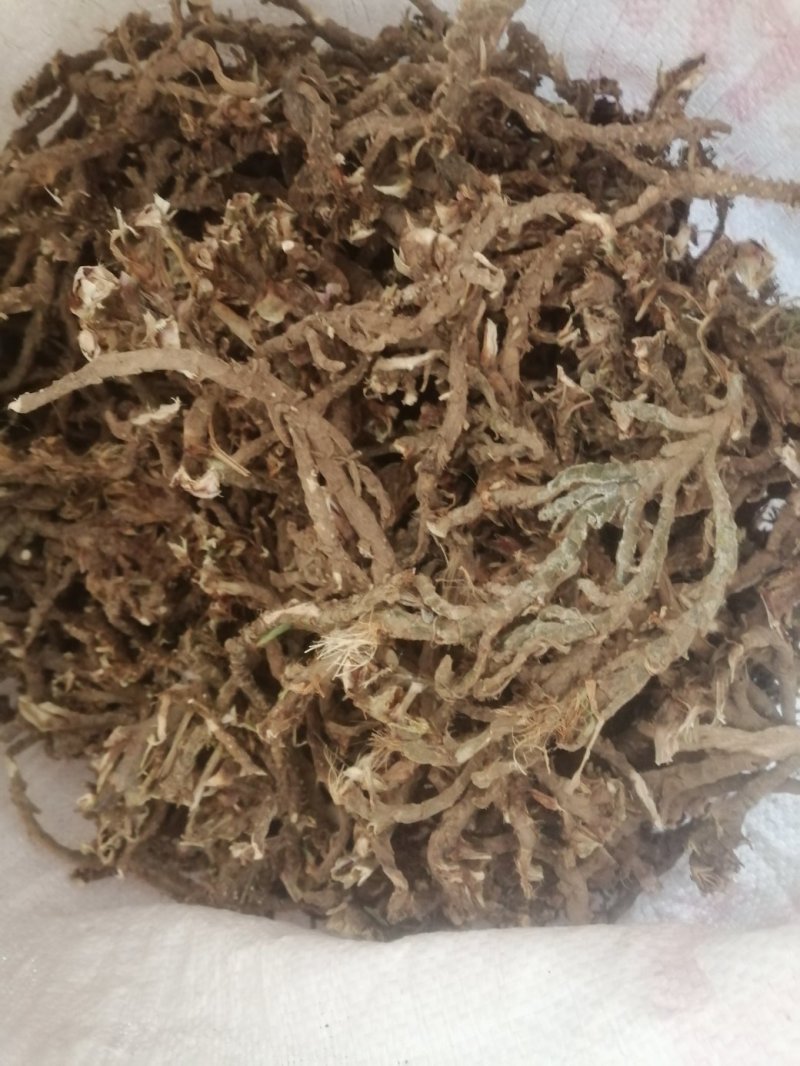 产地四川南充纯野生石菖蒲干货