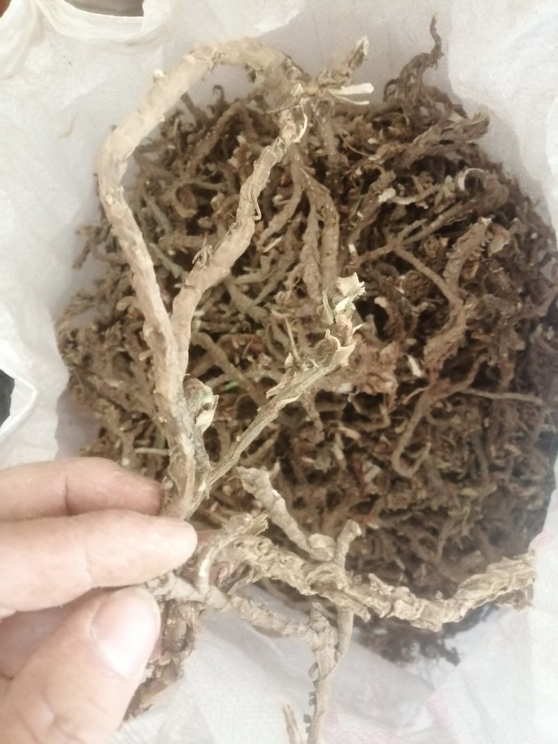 产地四川南充纯野生石菖蒲干货
