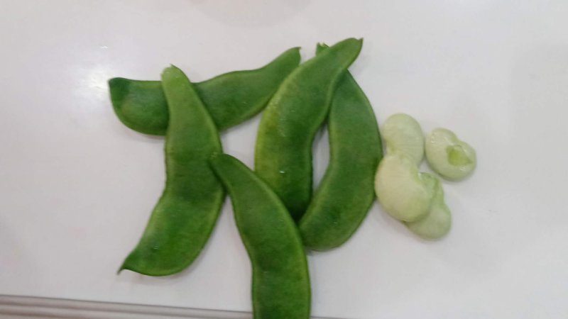 大量出售荷包豆（肾豆）鲜货，干货