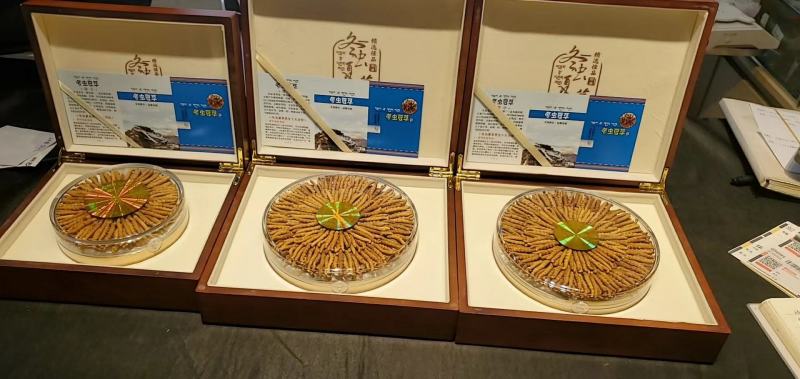 西藏那曲纯野生冬虫夏草产地直销，一手货源，顺丰包邮