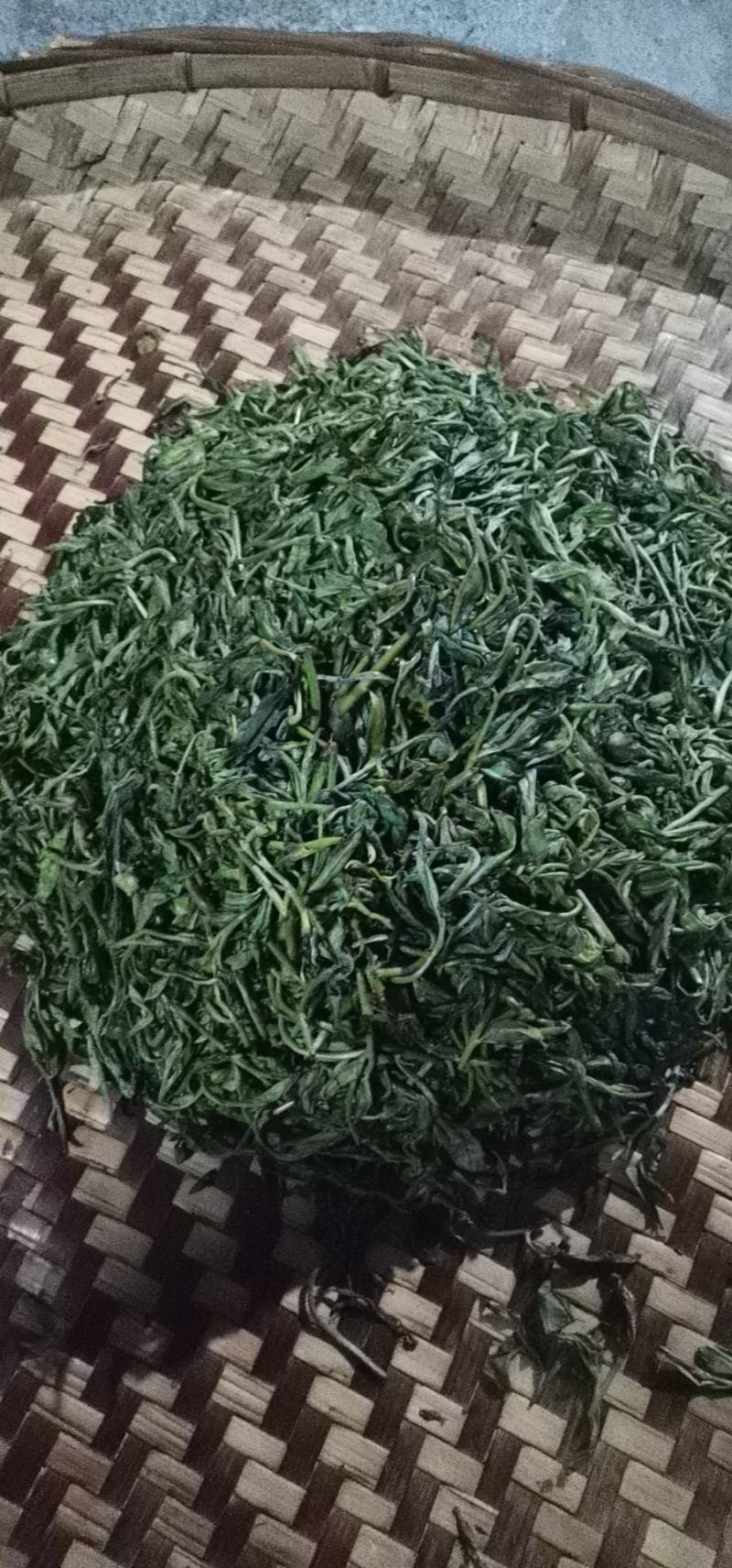 普洱茶生普古树茶大树茶头春茶活动价包邮