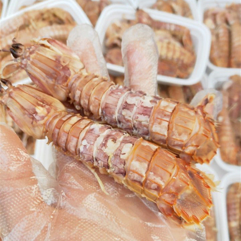 熟冻大个皮皮虾大个虾爬子大公虾婆个个有肉