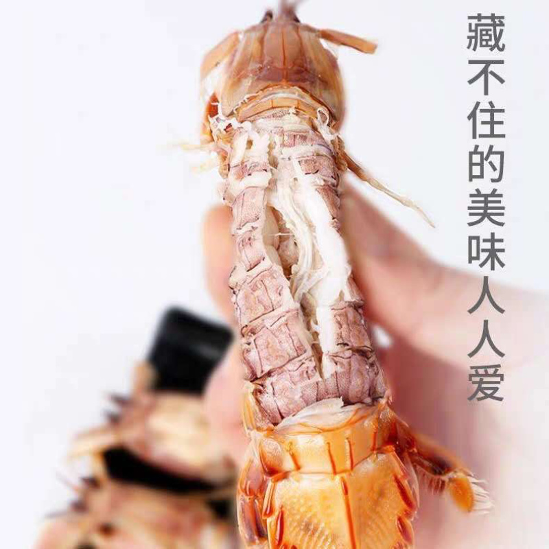 熟冻大个皮皮虾大个虾爬子大公虾婆个个有肉