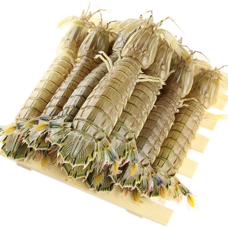 熟冻大个皮皮虾大个虾爬子大公虾婆个个有肉