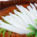 新鲜速冻大银鱼面条鱼孕妇宝宝辅食银鱼