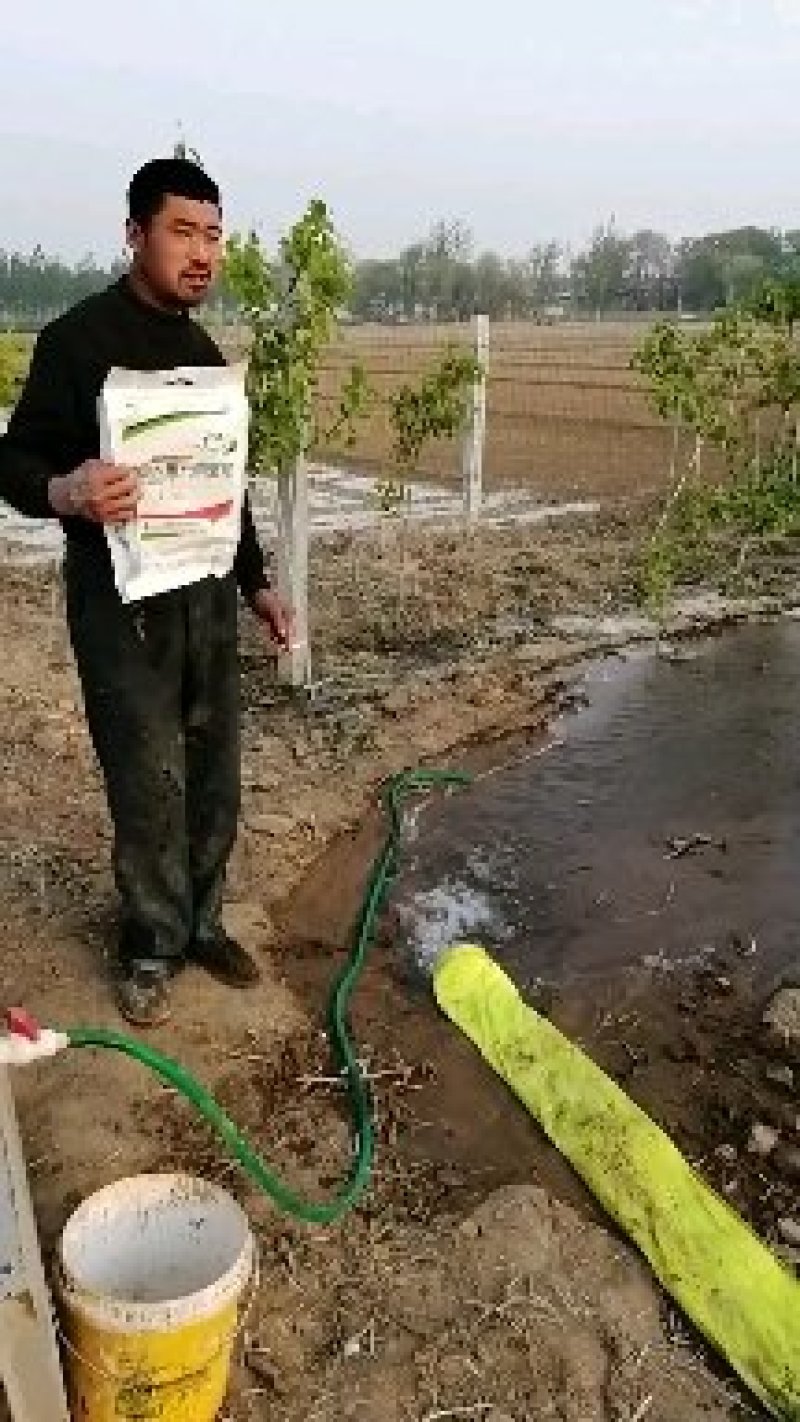 新梨七号