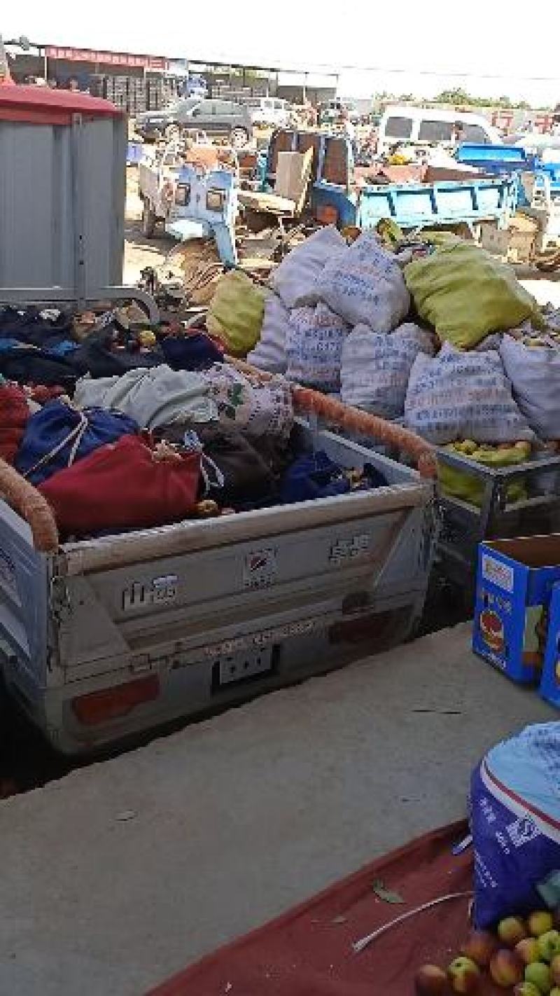 精品运城中油20号油桃果面量甜度好现摘现发基地直供