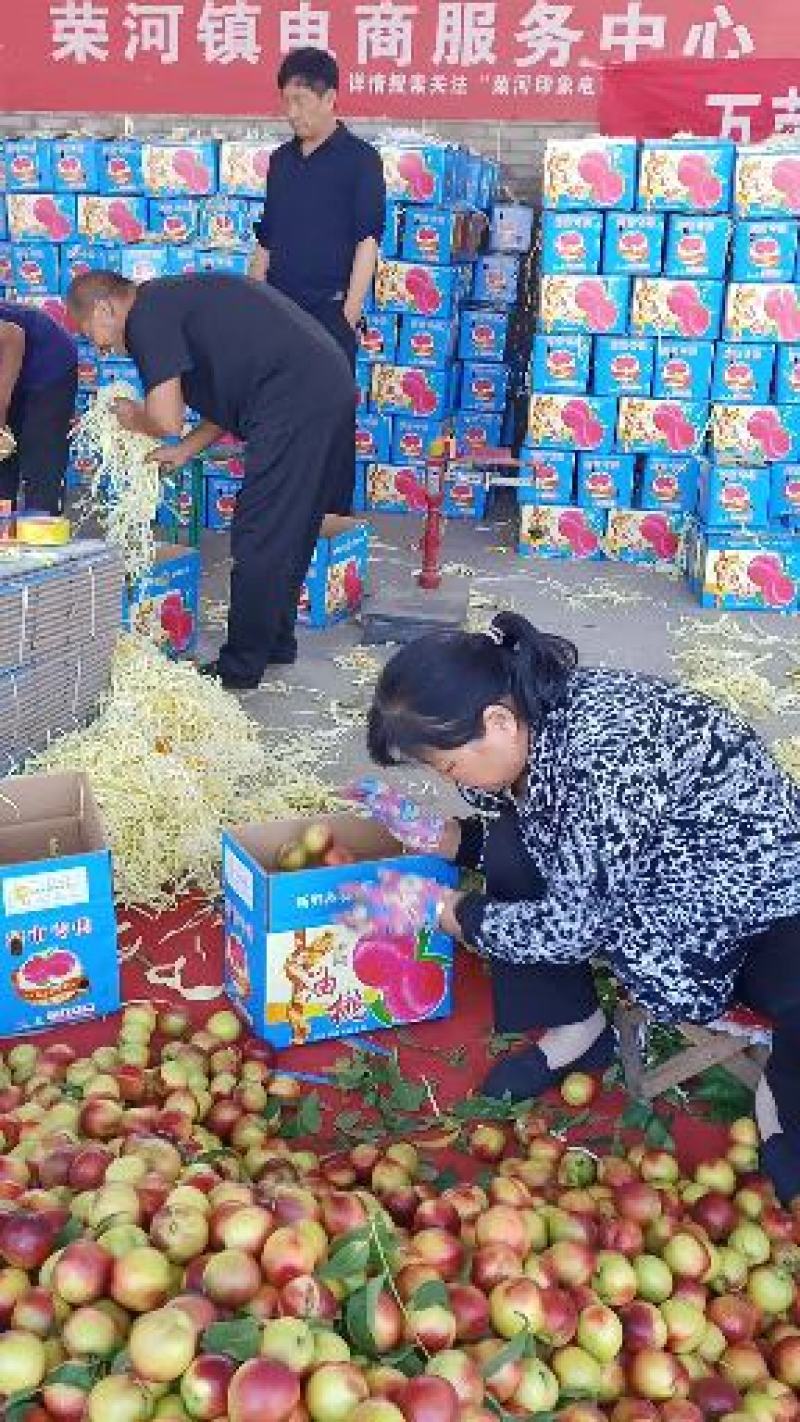 精品运城中油20号油桃果面量甜度好现摘现发基地直供