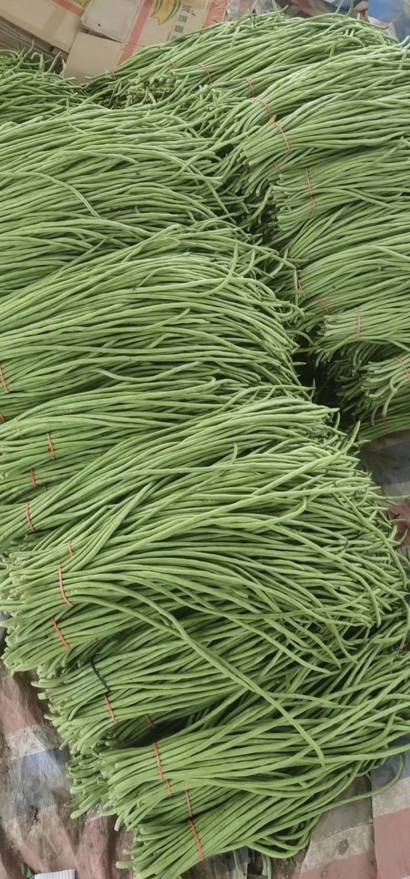 【荐】精品长豆角产地直销商超电商加工厂发货全国