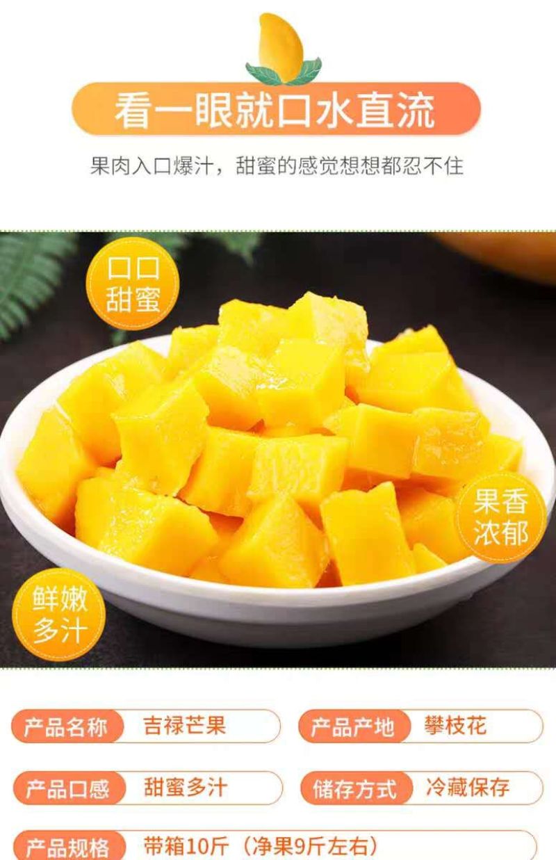 云南丽江高原吉露芒果香甜多汁！